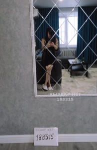 Проститутка Талдыкоргана Девушка№188315 Эля на пару дней Фотография №2538785