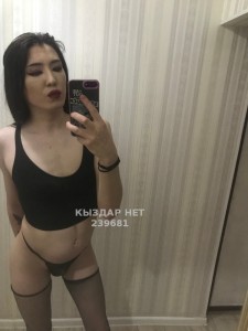 Транс Шымкента Транс№239681 Janelya крайние дни Фотография №2673073