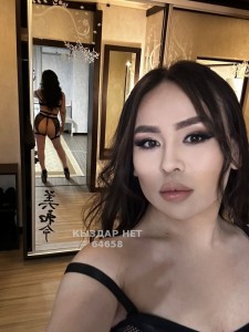 Транс Шымкента Транс№64658 Диляра Фотография №2990733