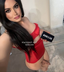 Транс Шымкента Транс№498156 Nihan real-на пару дней Фотография №3754447