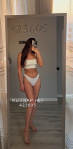 Проститутка Алматы Девушка№423605 Dinara Фотография №3787776