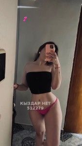 Проститутка Шымкента Девушка№512279 Боди с продолжением Фотография №3825705