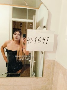 Транс Шымкента Транс№451647 Луина Последний дни Фотография №3881321