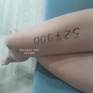 Проститутка Рудного Анкета №527900 Фотография №3948311