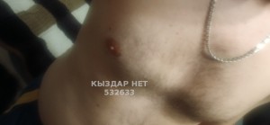 Жиголо Петропавловска Парень№532633 Алекс Фотография №4045552