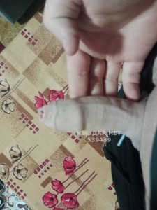 Жиголо Тараза Анкета №539439 Фотография №4047631