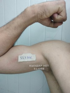 Жиголо Алматы Парень№513966 Кемал Фотография №4054674