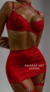 Проститутка Петропавловска Девушка№545090 Дина Фотография №4090204