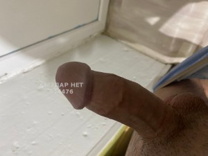 Жиголо Актобе Анкета №544476 Фотография №4084716